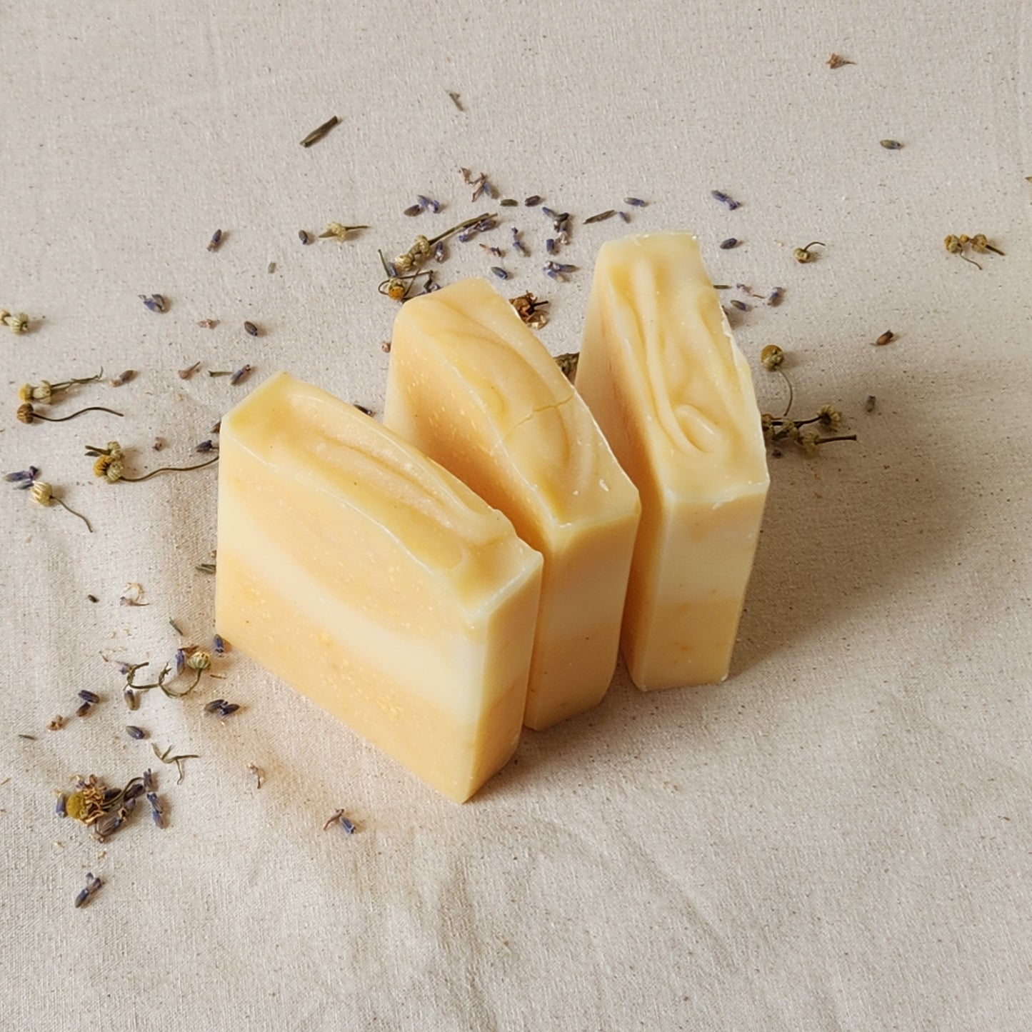 Handmade Gac Coconut Soap