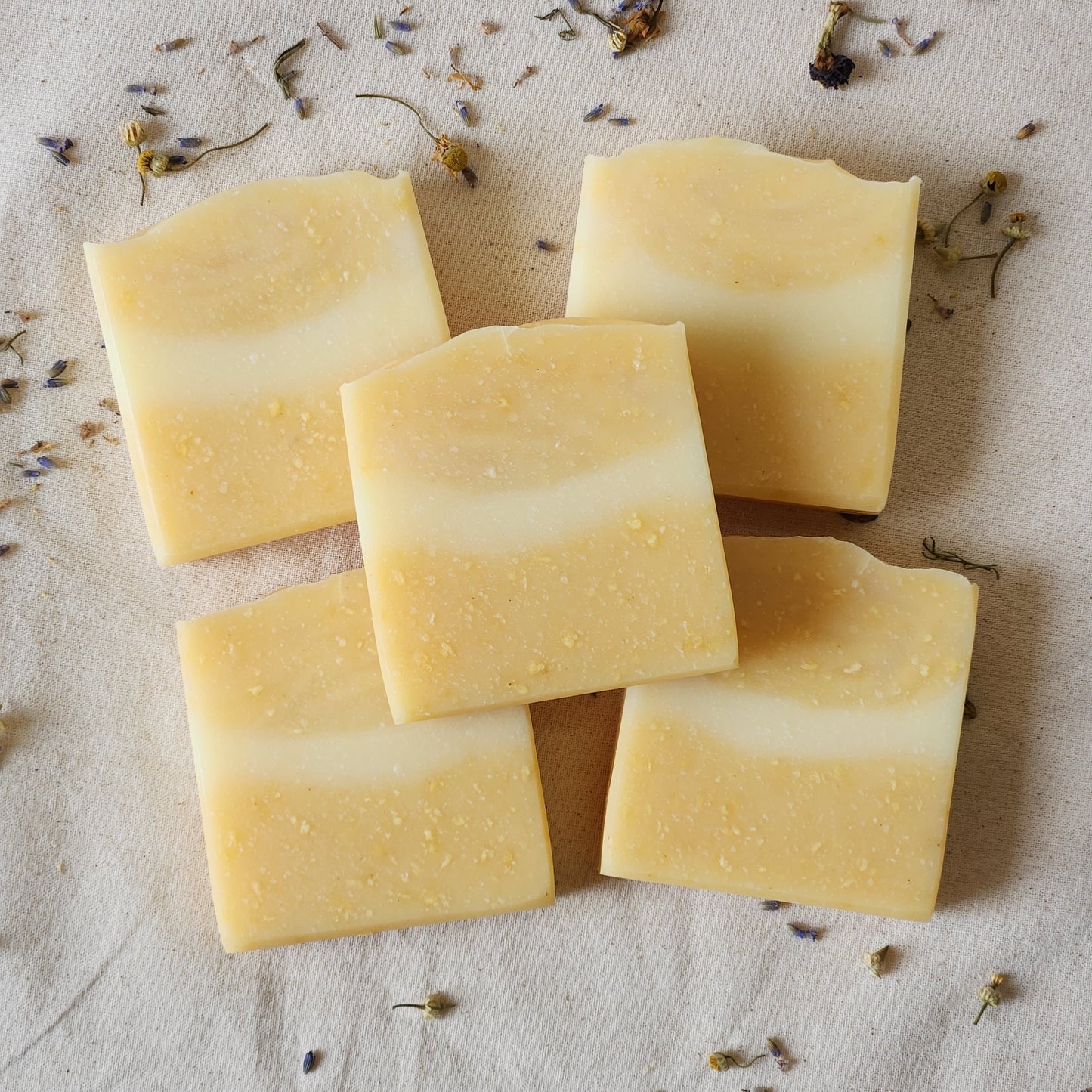 Handmade Gac Coconut Soap